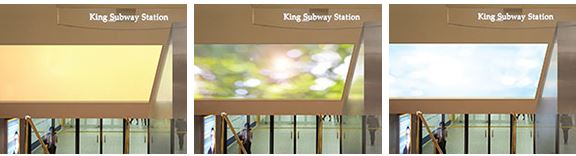 Light Canopy in a 3 panel showcase