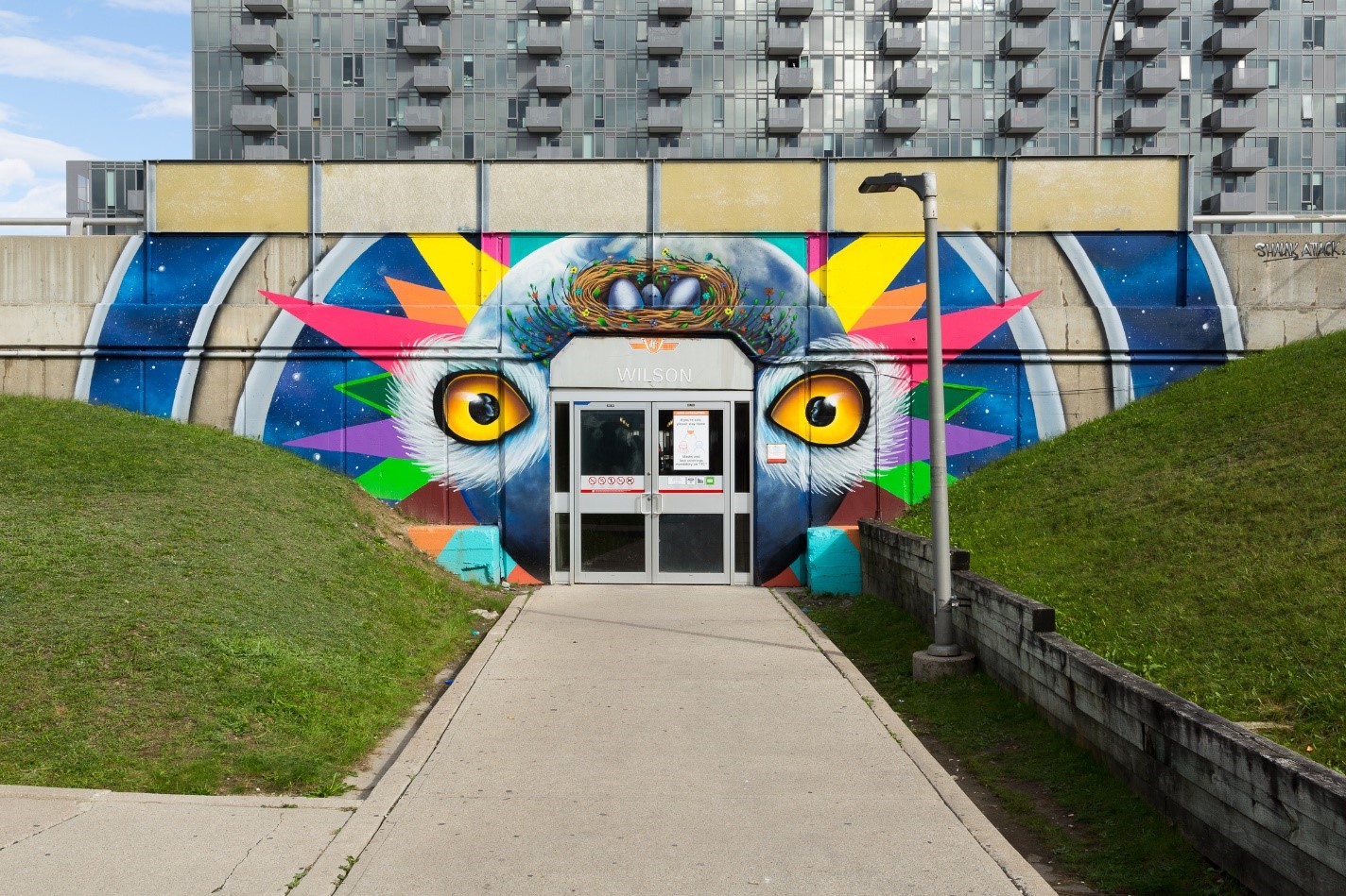 Wilson St 1