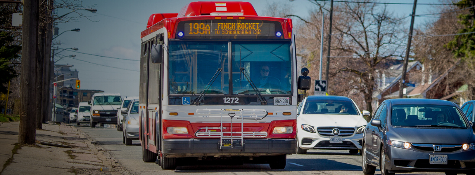 TTC bus in traffic